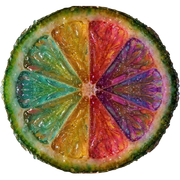 AISA - AI Skills Assessment logo