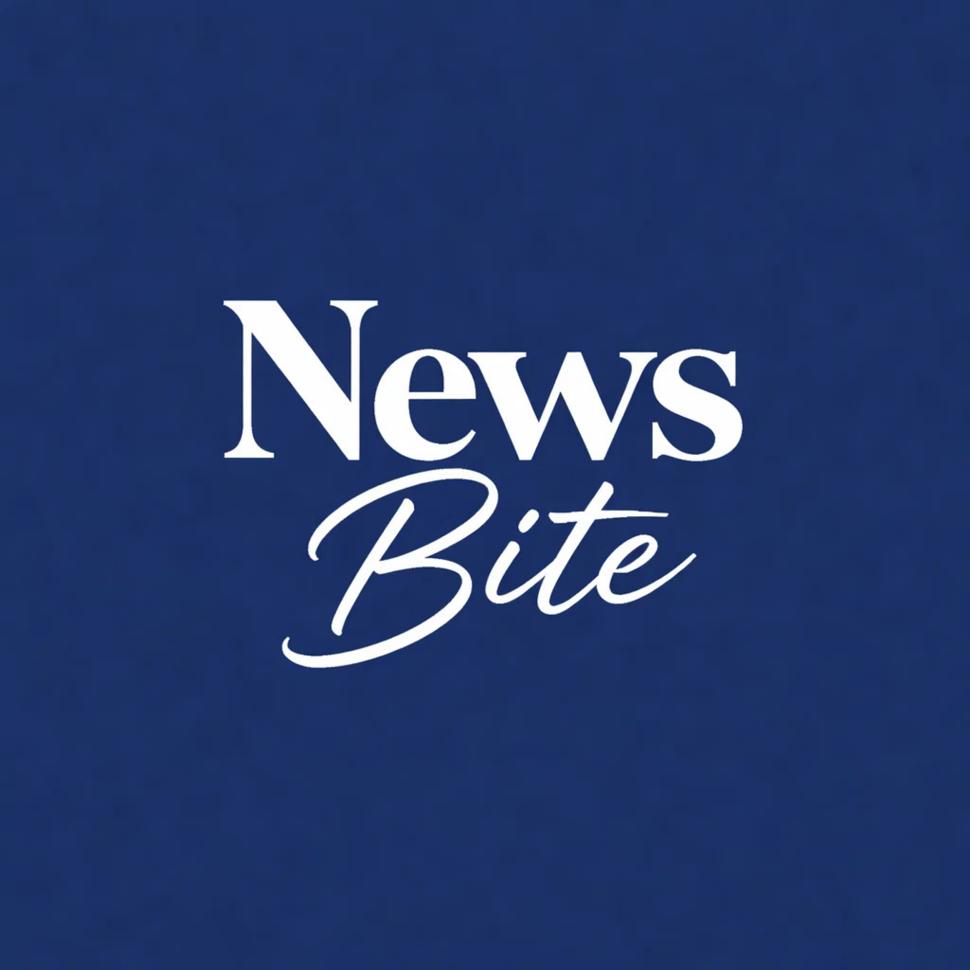 Newsbite logo