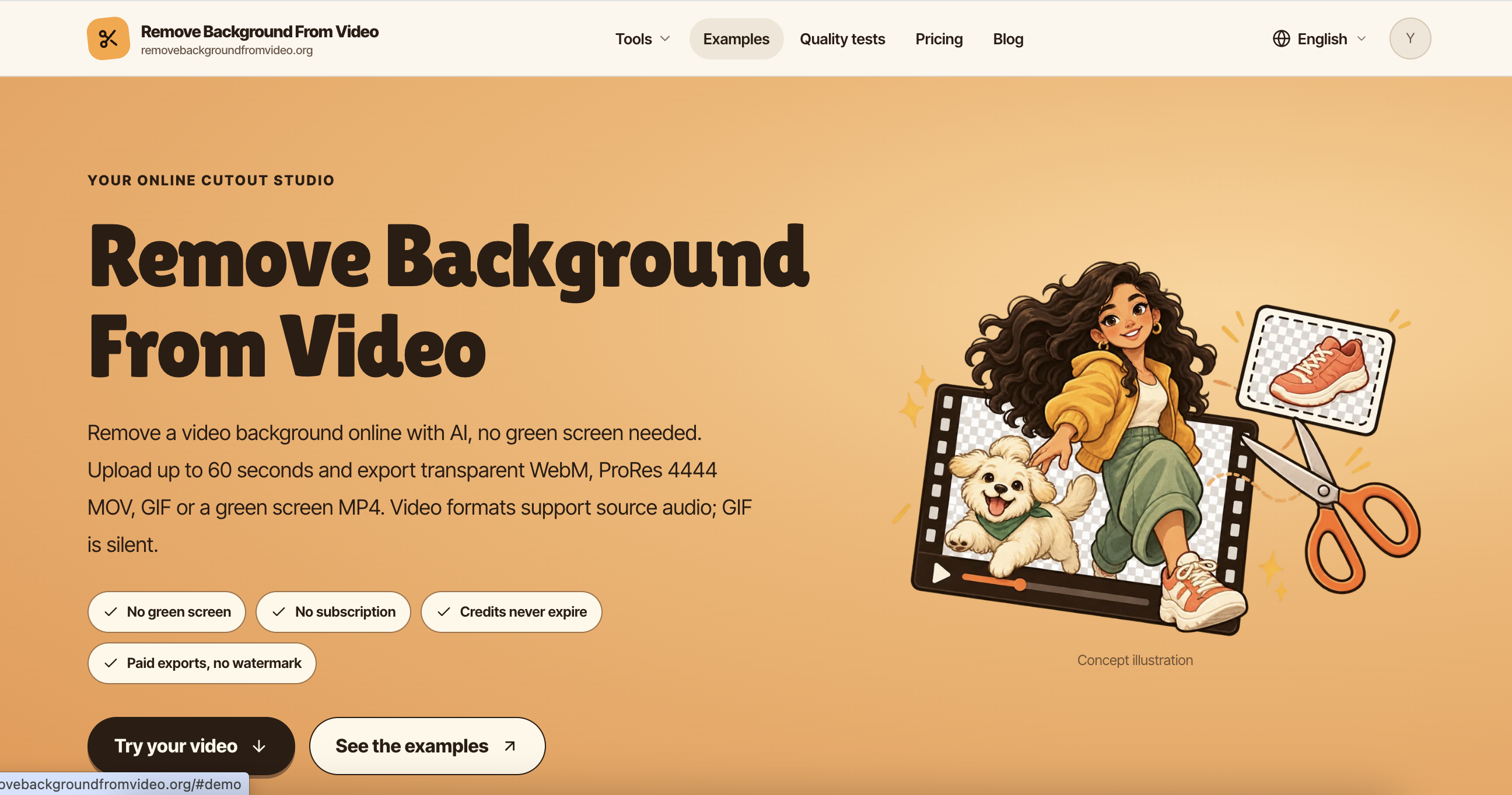 Remove Background From Video preview